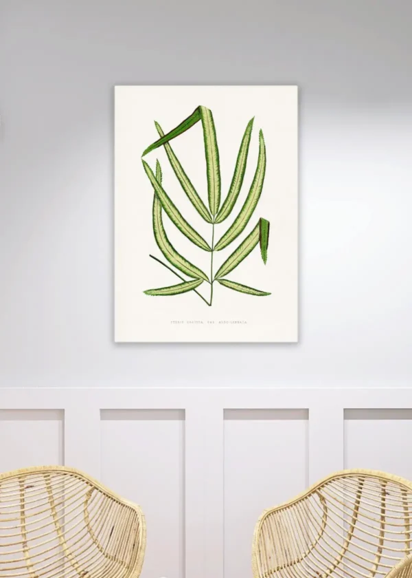 Trawa Lineata - wydruk na papierze