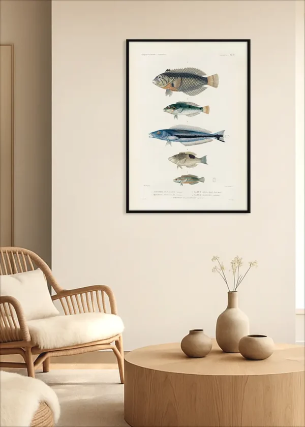 Plakat Ryby