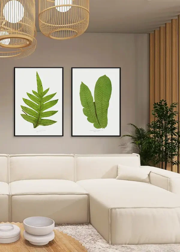 Plakat Paprotka Botanika No2