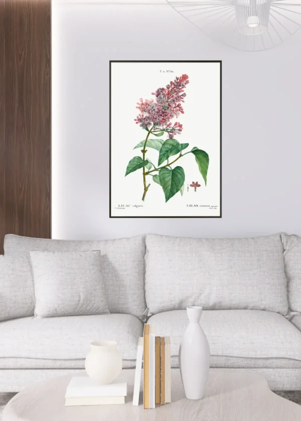Plakat Bez Liliak