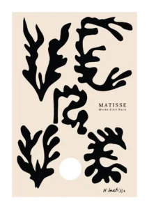 Matisse-KORAL-black-3